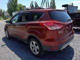 Used 2014 Ford Escape SE w/ Equipment Group 201A image 3