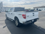Used 2013 Ford F150 XLT w/ Luxury Equipment Group image 6