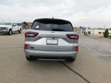 Used 2023 Ford Escape ST-Line w/ Tech Pack #1 image 4