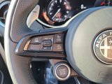 New 2024 Alfa Romeo Stelvio Veloce image 6