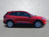 New 2025 Ford Escape Active w/ Tech Pack #1 image 2