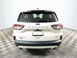 Used 2020 Ford Escape Titanium image 4