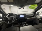 Used 2019 Ford F150 XL w/ Equipment Group 101A Mid image 4