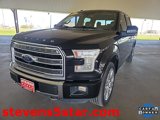 Used 2016 Ford F150 Limited image 3