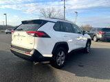 Used 2024 Toyota RAV4 XLE image 6