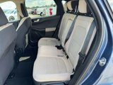 Used 2020 Ford Escape SE image 5