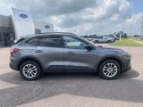 Used 2022 Ford Escape SEL w/ SEL Stealth AWD Package image 6