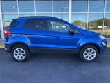 Certified 2021 Ford EcoSport SE image 4