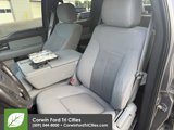 Used 2013 Ford F150 XLT w/ XLT Chrome Pkg image 4