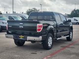 Used 2014 Ford F150 XLT w/ Equipment Group 302A Luxury image 3
