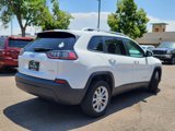 Used 2020 Jeep Cherokee Latitude image 3
