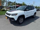 Used 2022 Jeep Compass Trailhawk w/ Trailhawk Convenience Group image 4