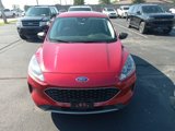 Used 2022 Ford Escape SE w/ Convenience Package image 2