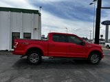 Used 2017 Ford F150 XLT w/ Equipment Group 302A Luxury image 6