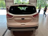 Used 2013 Ford Escape Titanium w/ Parking Technology Pkg image 2
