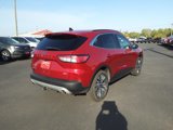 Used 2020 Ford Escape Titanium image 6