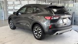 Used 2020 Ford Escape SE Sport image 5