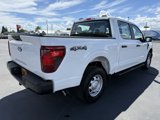 New 2025 Ford F150 XL image 5