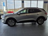 Used 2021 Ford Escape SEL image 5