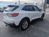 Used 2022 Ford Escape SE w/ Convenience Package image 5
