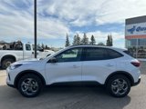 New 2025 Ford Escape ST-Line w/ Tech Pack #1 image 3