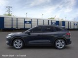 New 2025 Ford Escape ST-Line w/ Tech Pack #1 image 3