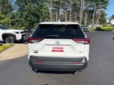 Used 2020 Toyota RAV4 XLE Premium image 4