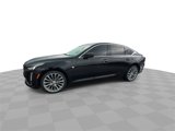 Certified 2021 Cadillac CT5 Premium Luxury w/ Climate Package image 4
