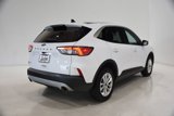 Used 2020 Ford Escape SE image 4