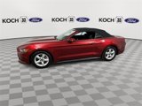 Used 2017 Ford Mustang Convertible image 5