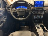 Used 2020 Ford Escape Titanium image 2