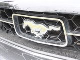 Used 2009 Ford Mustang Premium image 3