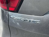 Used 2019 Ford Escape Titanium image 6