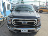 Used 2021 Ford F150 XLT w/ Equipment Group 302A High image 2