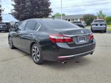 Used 2017 Honda Accord EX-L image 4