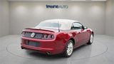 Used 2014 Ford Mustang Premium w/ Equipment Group 202A image 3