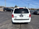 Used 2011 Ford Escape XLT image 4