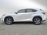 Used 2019 Lexus NX 300h AWD image 6
