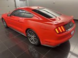 Used 2016 Ford Mustang GT Premium w/ Equipment Group 401A image 4
