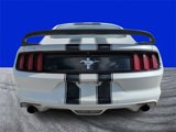 Certified 2017 Ford Mustang Coupe w/ Enhanced Security Package image 4