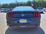 Certified 2022 Ford Mustang Coupe w/ Equipment Group 101A image 5