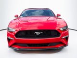 Used 2019 Ford Mustang Premium image 2