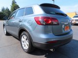 Used 2013 MAZDA CX-9 Sport image 5