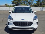 Used 2020 Ford Escape SE image 6