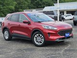 Used 2020 Ford Escape SE image 2