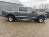 New 2024 Ford F150 XLT w/ Equipment Group 302A MID image 6