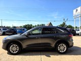 Used 2020 Ford Escape SE image 4