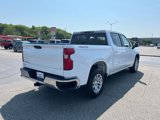 Used 2019 Chevrolet Silverado 1500 LT w/ All-Star Edition image 4