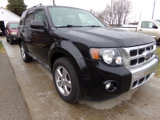 Used 2010 Ford Escape Limited image 3