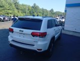 Used 2019 Jeep Grand Cherokee Limited image 3